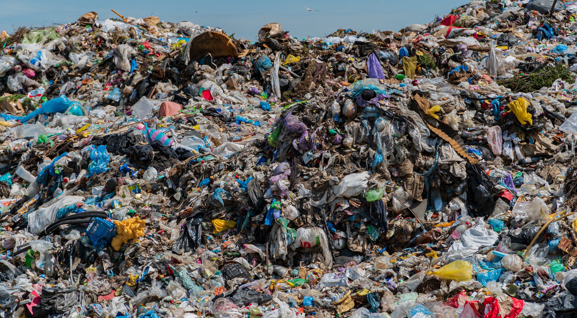 フィジビリティスタディ(FS)事業