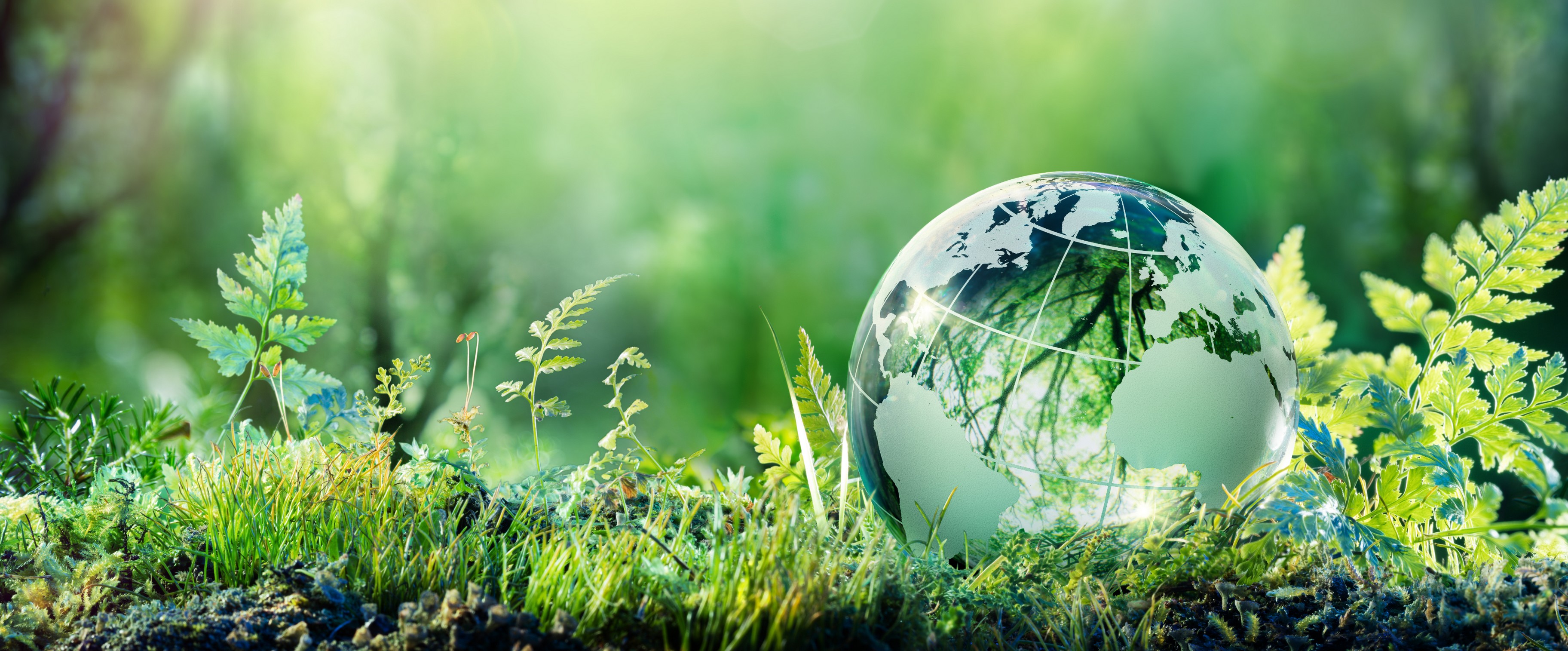 グローバル展開の礎をJAPANで創る